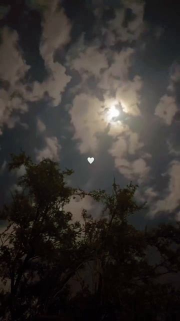 луна ✨🌚 смотреть онлайн