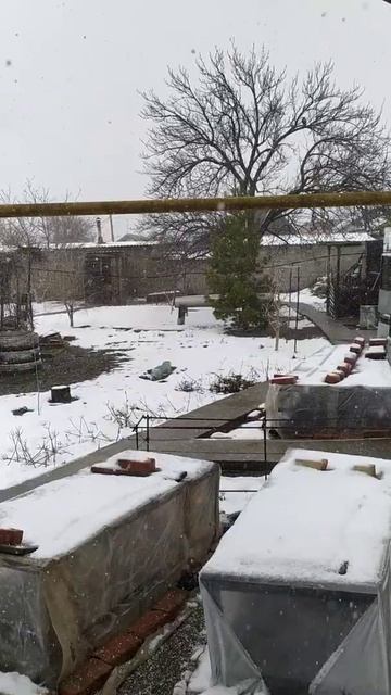 Пурга в марте.