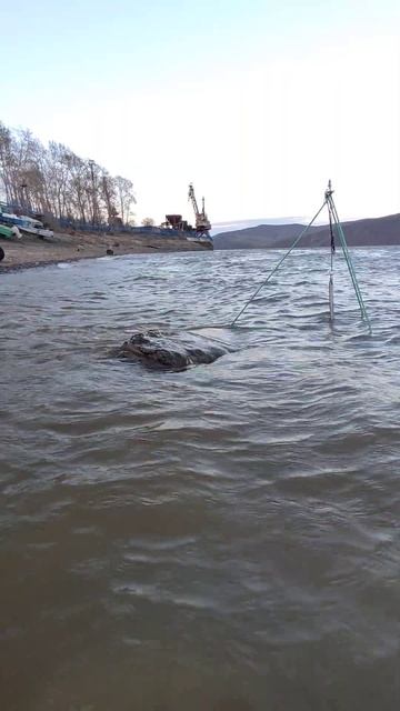 06.05.2024 Вечерний Амур Комсомольск-на-Амуре Хабаровский смотреть онлайн