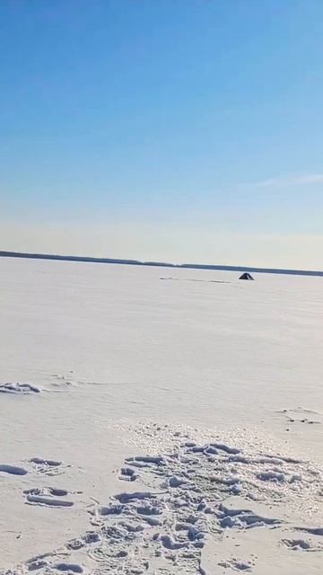 Сугояк #природныепейзажи #рыбалканаозере #рыбалка #fishi смотреть онлайн