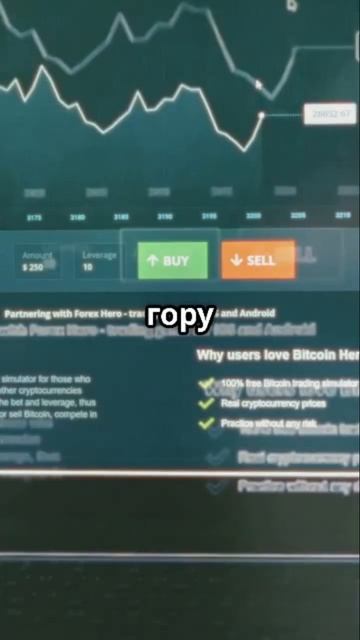 Хомяк криптан😎🤩 #кошка #кошка #рыбалка #серфинг #филь смотреть онлайн