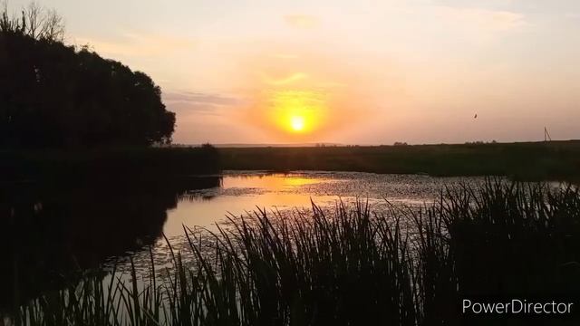 Фото с трофеями смотреть онлайн