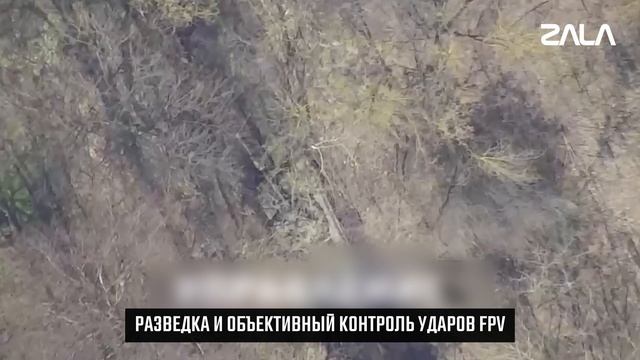 Zala апрель 2025