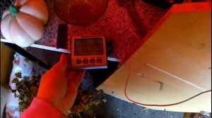 Первое копчение в коптильне ДОБРЫНЯ. Выходные в дерев?