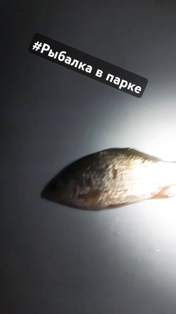 карась на чеснок