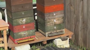 Май!!!  (Сюжет 16)