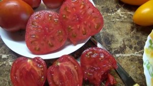 Этот невзрачный Гномик поразил меня своим изысканным вкусом. Томатный Гном Сердце Бадди.