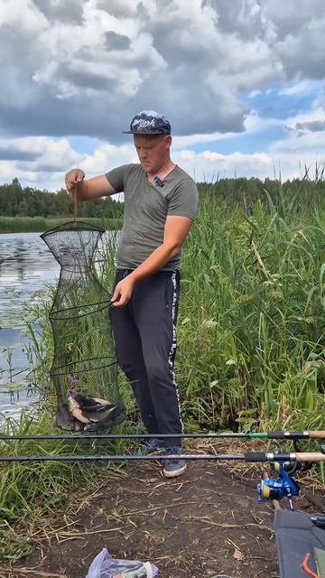Какая погода лучше для рыбалки? #fishing #фидер смотреть онлайн