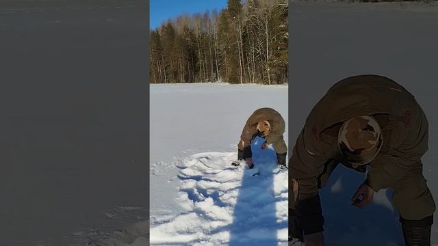 У НАС ЗАГАР #крупная #рыбалка #лесной #зима #рыбалканао? смотреть онлайн