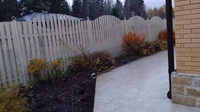 Крупнолистные и метельчатые гортензии, практически г? смотреть онлайн