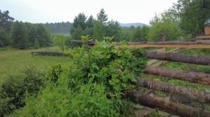 Косим - пилим. Жизнь в деревне после переезда.