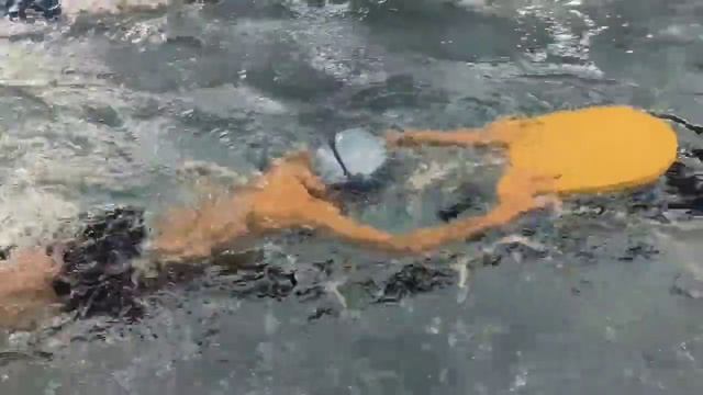 Физкультурно-спортивный клуб Аквант. Группа Start. смотреть онлайн