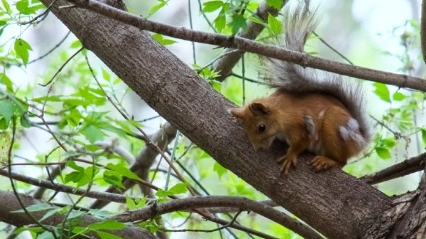Небольшая фотопрогулка.