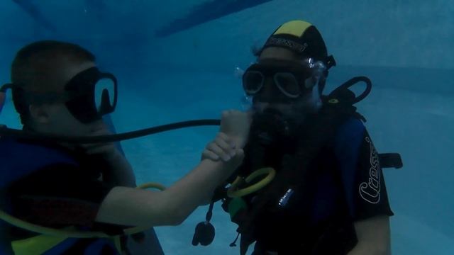 1.11.18.📚Занятия в бассейне МЧС с Pro Diving Club по CMAS*(ПОДВОДН? смотреть онлайн