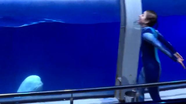 MUST BE SEEN & ДОЛЖЕН БЫТЬ ВИДЕН & GÖRÜLMELİ & MUSS GESEHEN WERDEN смотреть онлайн