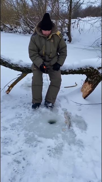 #рыбалка #fishing #зима #природа смотреть онлайн