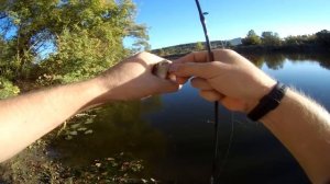 Рыбалка на Северском Донце Dayo Amulet