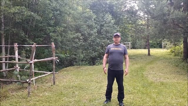 Как сделать подкормку сосны сибирской кедровой или си смотреть онлайн