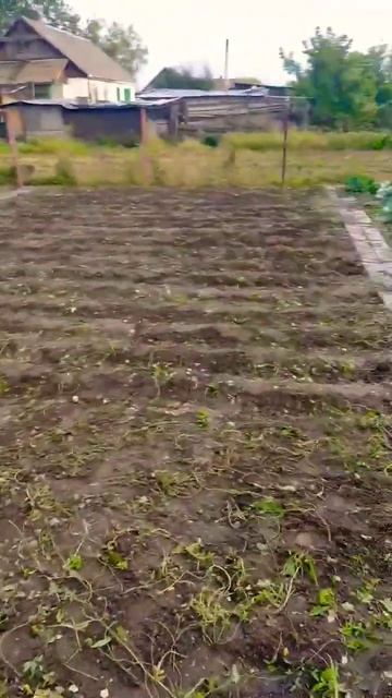 уборка огорода часть 3 смотреть онлайн