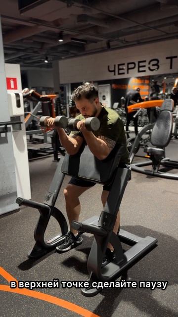 Подъём гантелей на бицепс на скамье Скотта смотреть онлайн