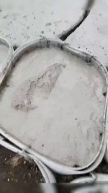 Оформление территории вокруг деревьев или дорожек св? смотреть онлайн