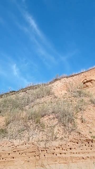 Жигулевское море