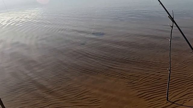 РЫБАЛКА клёва...  ПРИРОДА