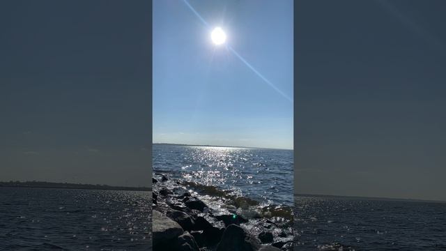 Финский залив 12.05.2025 смотреть онлайн