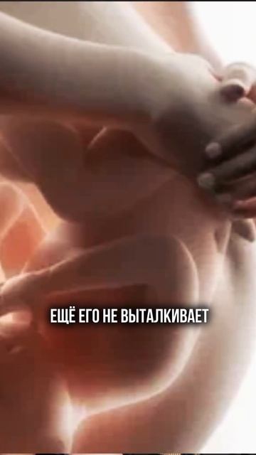 Второй из трех самых важных видов дыхания в потугах. #роды смотреть онлайн