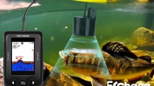 Erchang XF03 Представлен новый эхолот: изучите его выдающие