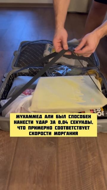 ИНТЕРЕСНЫЕ ФАКТЫ О СПОРТСМЕНАХ #asmr #cleaning #асмр #спорт #о смотреть онлайн