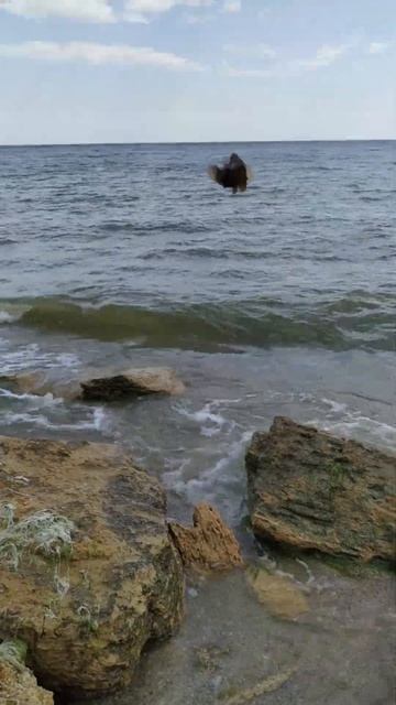 Рыбалка на Черном море 20 мая 2023 год бычки слабо и мелки смотреть онлайн