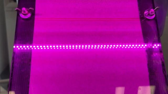 Соя. Особенности развития корневой системы. Институт ? смотреть онлайн