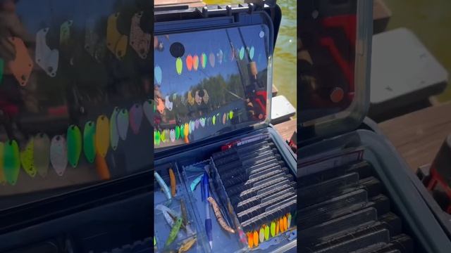 АТМОСФЕРА ТУРНИРОВ ОТ JPSNASTI.RU | ЛОВЛЯ ФОРЕЛИ #японскиес? смотреть онлайн