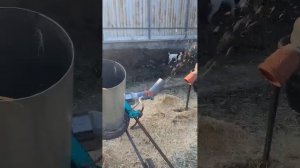 Сеноизмельчитель с приводом от бензокосы, своими рука