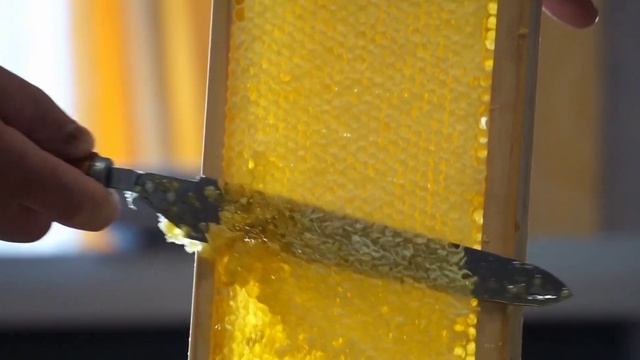 Мёд Польза. Вот что будет если, есть мёд каждый день . смотреть онлайн