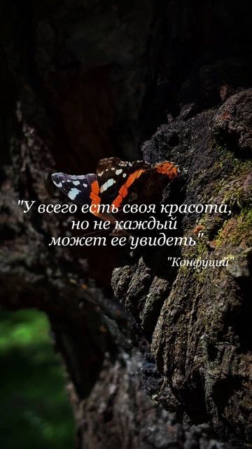 У всего есть своя красота... #цитаты #красота #любовь смотреть онлайн