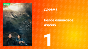 Белое оливковое дерево 1 сезон 1 серия