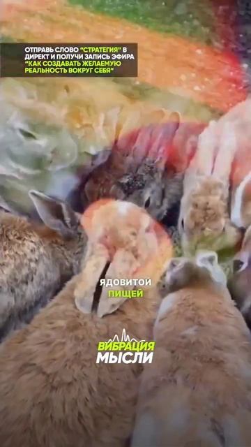 доброта спасёт мир быть внимательным и понимать други смотреть онлайн