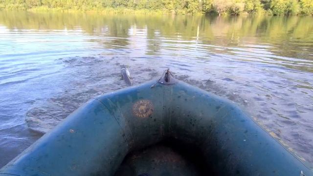 щука на спиннинг, коряга, свечка смотреть онлайн