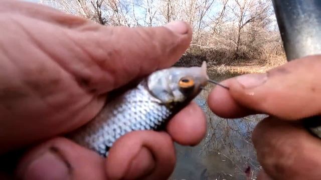 Рыбалка на поплавок 15 ноября 2024 г.на лесной луже!Дикий смотреть онлайн