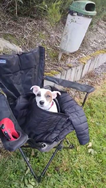 Эх,рыбалка! #рыбалка #рыба #улов #природа #клёв #клюет #о?