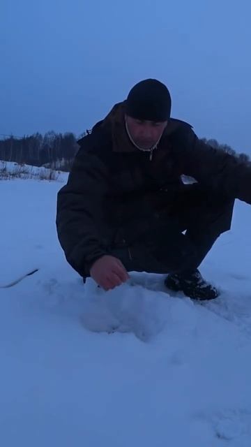 Зимняя рыбалка. Щука на живца. #рыбалканажерлицы #рыба? смотреть онлайн