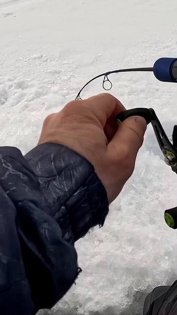 Прям со дна цепляется #рыбалыч #fishing #рыбалка #балык #ок?