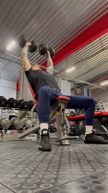 Жим гантелей сидя Д1 неделя 4 смотреть онлайн