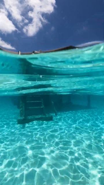 Идеальная вода #shorts смотреть онлайн