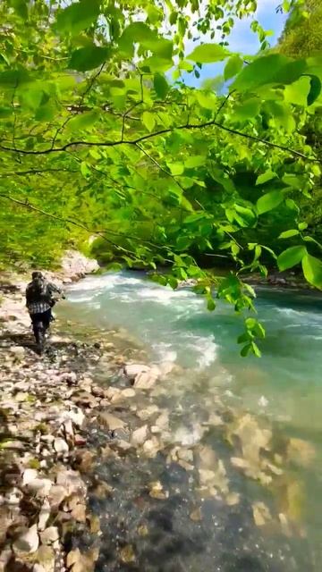 #ингушетия#горы #рыбачка #форель #fishing #кавказ#caucasus #nature смотреть онлайн