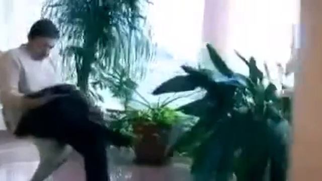 Тихое отчаяние... смотреть онлайн