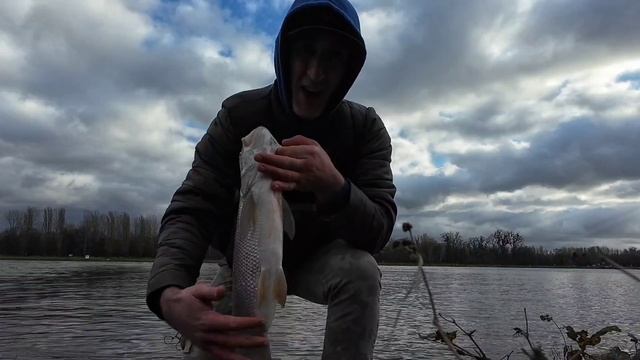 Жерех на каждом Забросе! Важно подобрать Приманку! #ры?