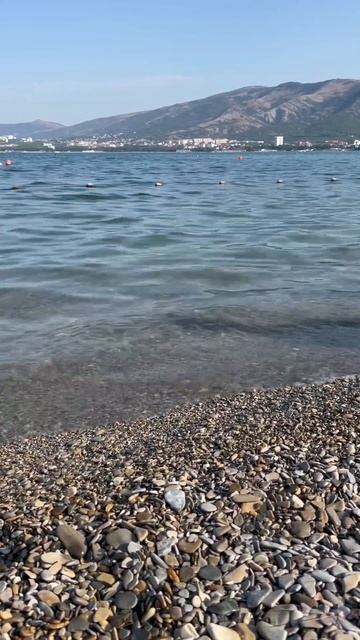 Гостевом доме в центре Геленджика! До моря 400м , всё в ш?